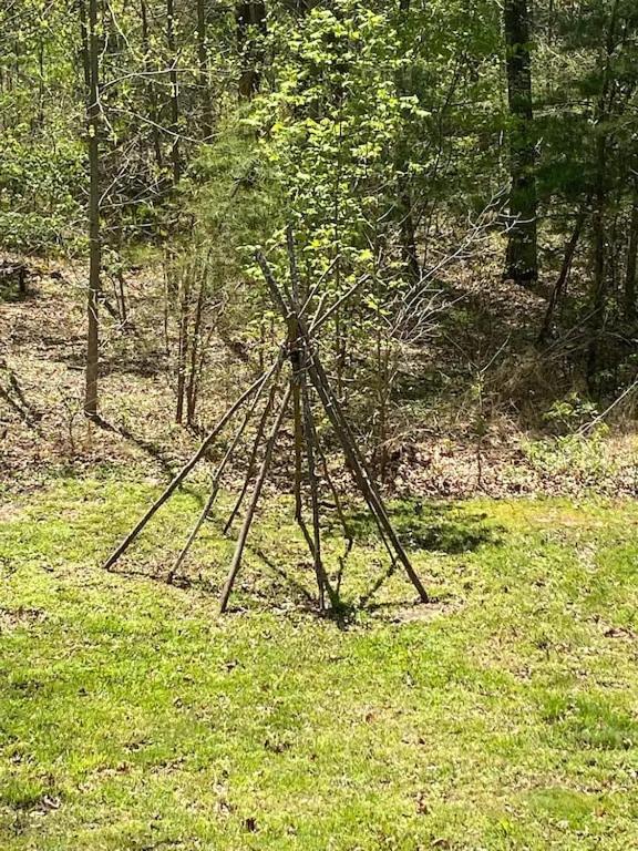 Gas Fireplace, Firepit, And Cedar Adirondack Chair Spencer エクステリア 写真